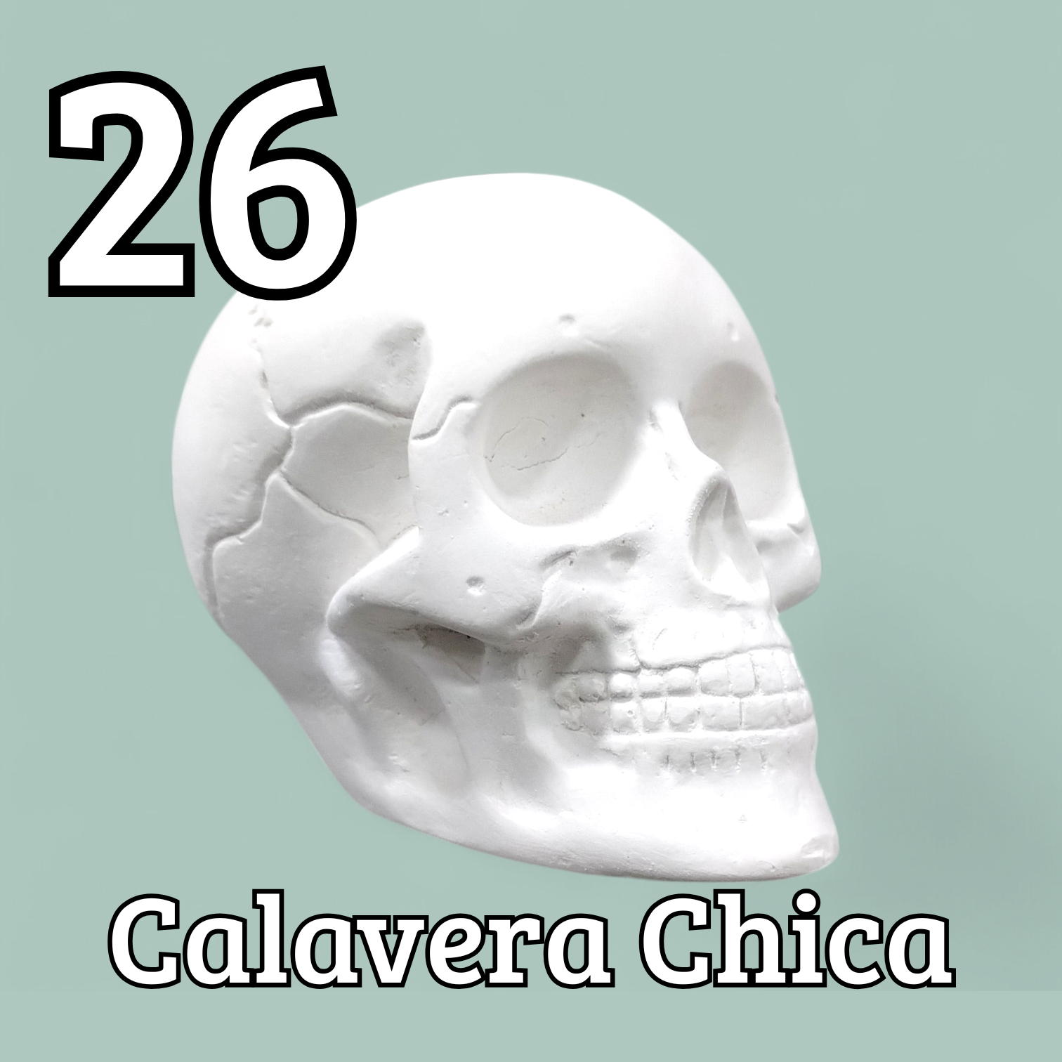 Imágenes Grupo C x5 u.